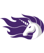 Purple Unicorn
