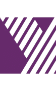 Y Pulse